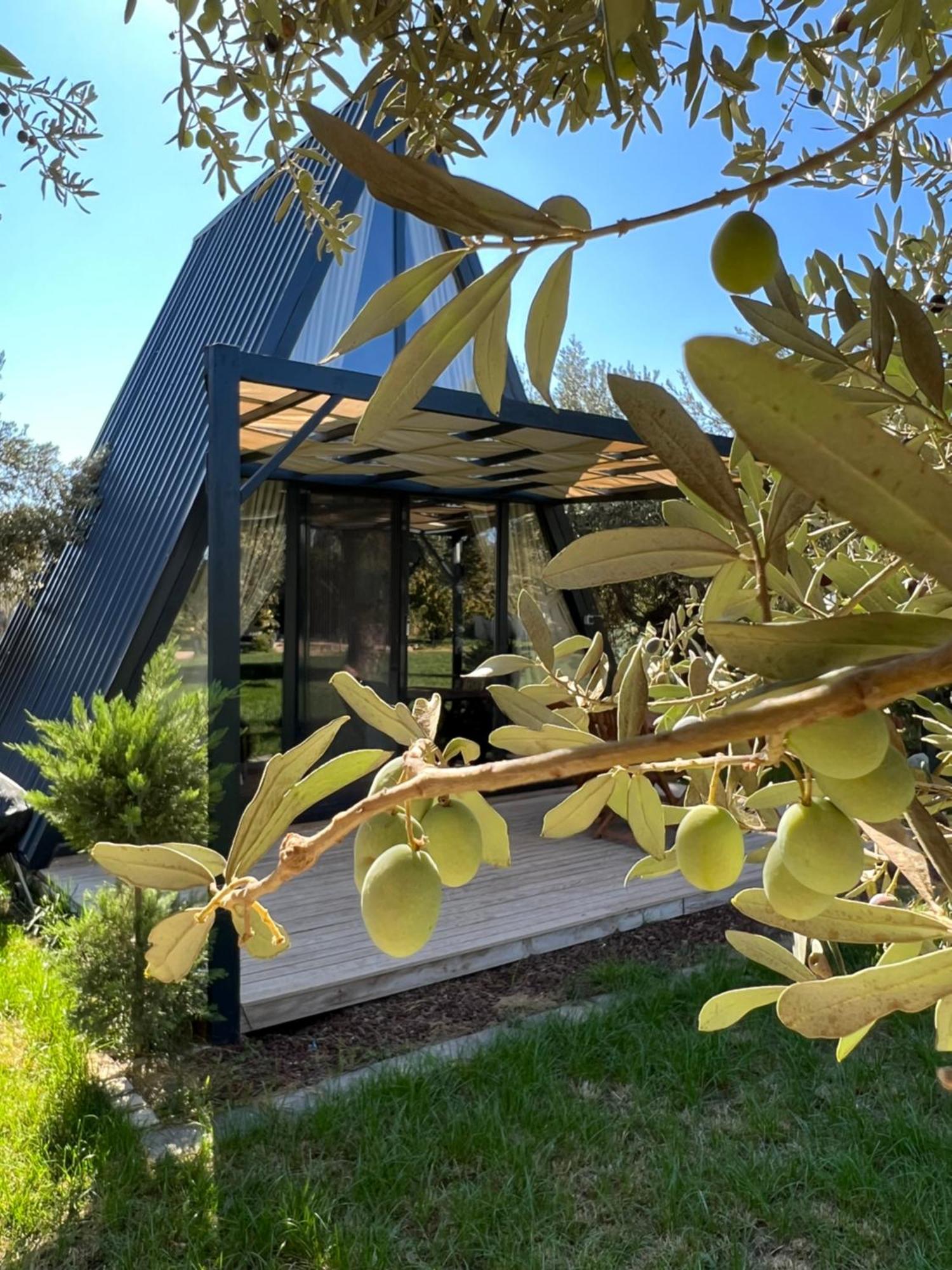 Byelka Bungalov Ayvalı Buitenkant foto