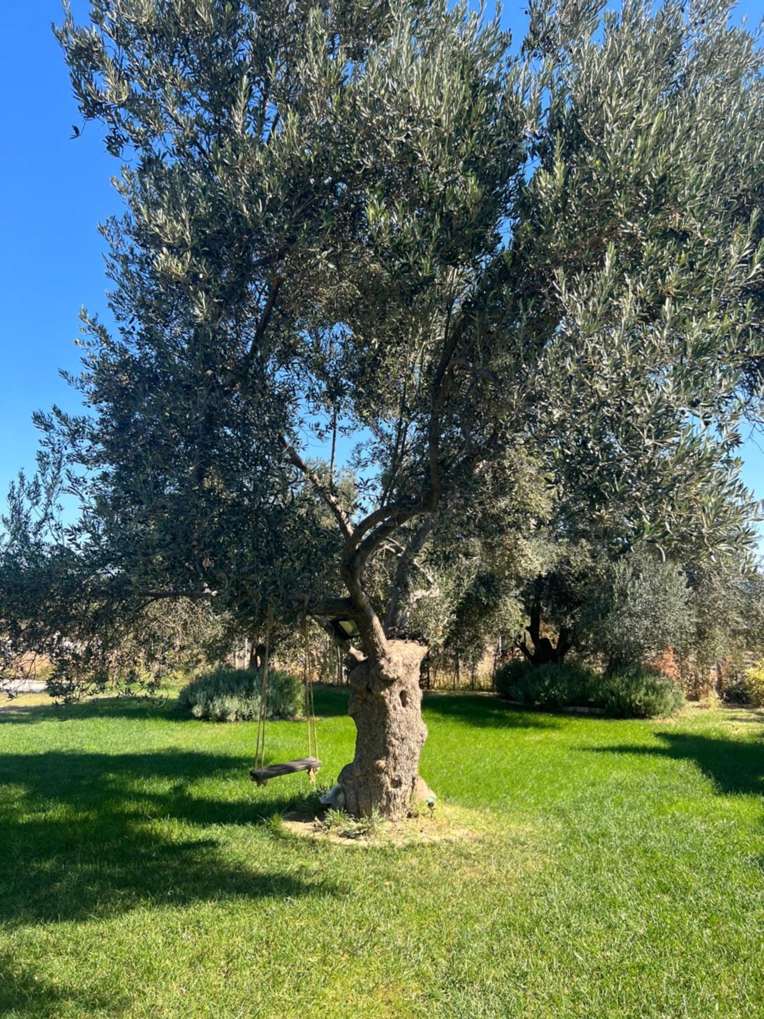 Byelka Bungalov Ayvalı Buitenkant foto